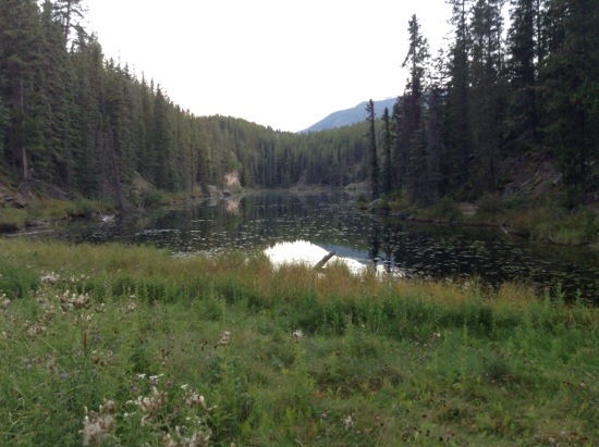 20130903-092341.jpg