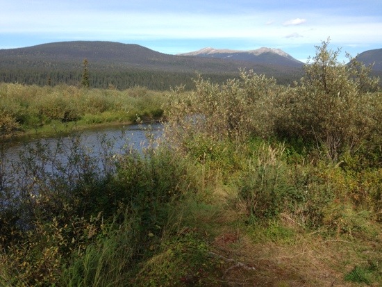 20130909-194452.jpg