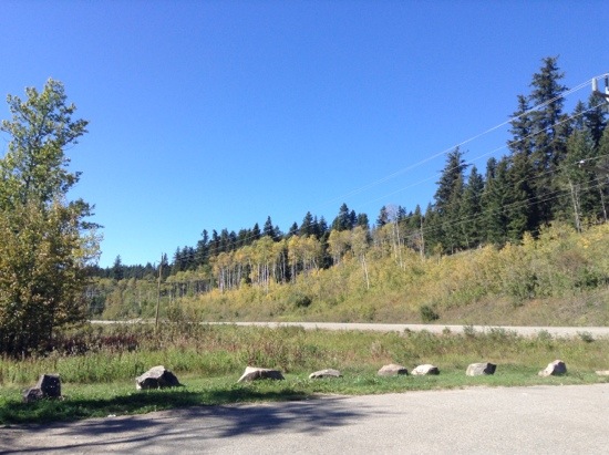 20130911-151147.jpg