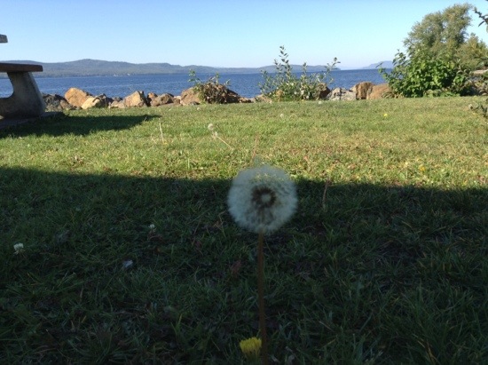 20130912-160823.jpg