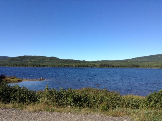 20130918-190645.jpg