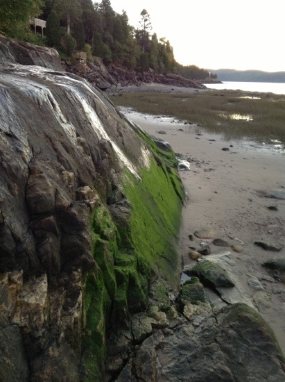 20130918-191238.jpg