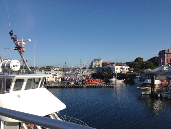 20130918-210820.jpg