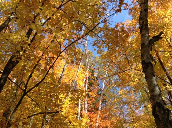 20130929-183945.jpg