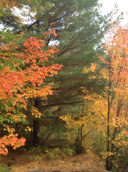 20130929-184039.jpg