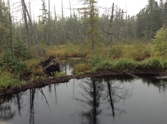 20130930-220319.jpg