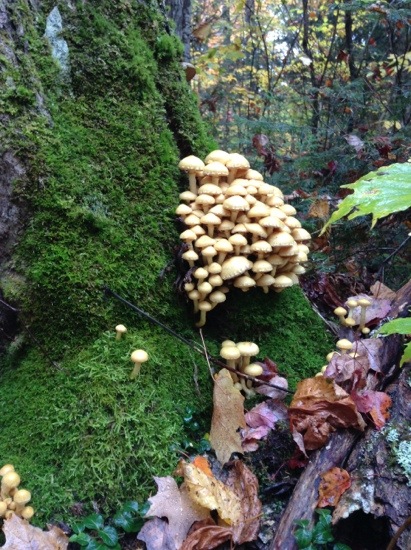 20130930-220423.jpg