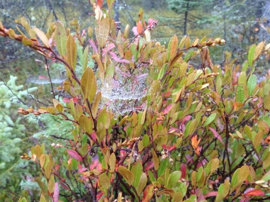 20130930-220648.jpg