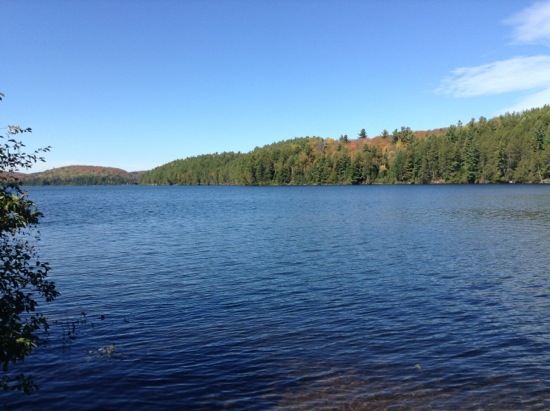 20131001-205807.jpg