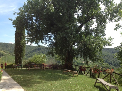 20120712-164530.jpg