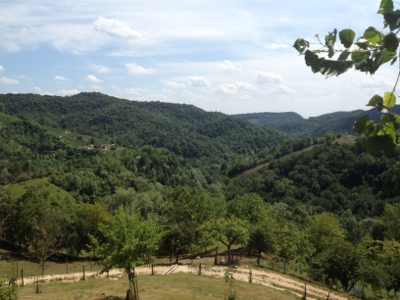 20120712-164540.jpg